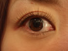 Winkle Lash