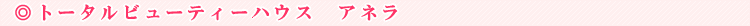 �g�[�^���r���[�e�B�[�n�E�X�@�A�l��
