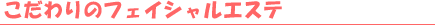 �t�F�C�V�����G�X�e