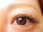 Eyelash Salon chou chou�i�V�� �V���j