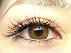 Cils �V�B��