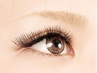 esLASH��{�X�i�G�X���b�V����{�X�j