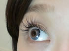 MIKI LASH PLUS�i�~�L���b�V���v���X�j