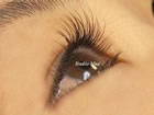 Studio blue�i�X�^�W�I �u���[�j