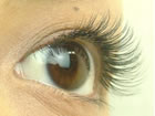 salon de beaute ARAKI (�T�����h�{�[�e�A���L�j