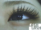 Salon de Angel �V�h�X