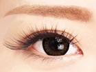 Salon de Couture�i�T���� �h �N�`���[���j���X