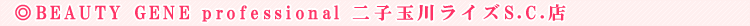 BEAUTY GENE professional ��q�ʐ색�C�YS.C.�X