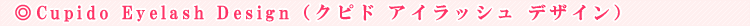 Cupido Eyelash Design�i�N�s�h �A�C���b�V�� �f�U�C���j