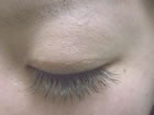 Feliene�i�t�F���[�l�j