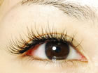 Grammy Lash