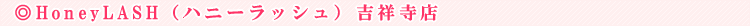 HoneyLASH�i�n�j�[���b�V���j�g�ˎ��X