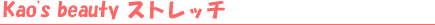 ���Ճ_�C�G�b�g�R�[�X