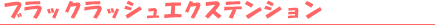 �u���b�N���b�V���G�N�X�e���V����