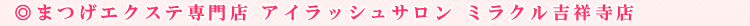 �A�C���b�V���T���� �~���N���g�ˎ��X