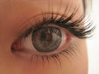 Cool Lash�i�N�[�����b�V���j�����X
