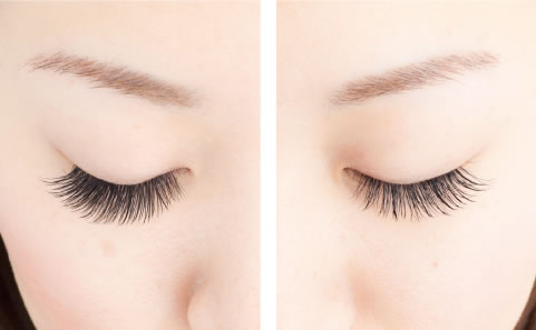 PLUME EYELASH SCHOOL̎ʐ^icB[U[̎AƗJƂ܂Ŋwׂ镝LR[X j