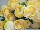 ROYAL ROSE