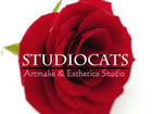 STUDIOCATS
