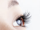 studio lash�i�X�^�W�I���b�V���j