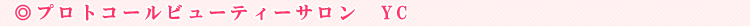 �v���g�R�[���r���[�e�B�[�T�����@YC 
