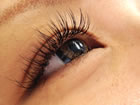 eyelash salon Link