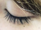 salon de juin�i�T���� �h �W�������j