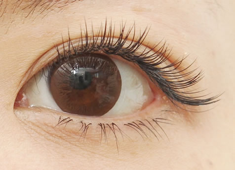 eye dealiACEfB[j^{̃S