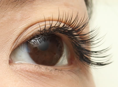 eye dealiACEfB[j^{̎ʐ^iql̂قƂǂAЉR~ɂĂXĂ܂j
