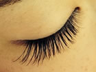 Eye lash salon Y