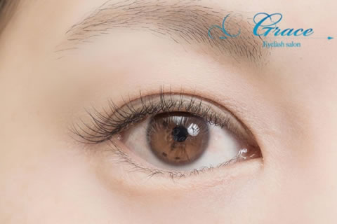 Venus Eyelash Academy ʍZ̃S