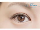 Venus Eyelash Academy ʍZ