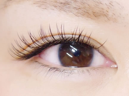 Eyelash salon ioiCIj^͌̎ʐ^i  lCAŐVZp̃{[bVgɕt`XłIj
