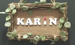 Karin カリン 川崎 サロン情報 まつげエクステ サロンナビ