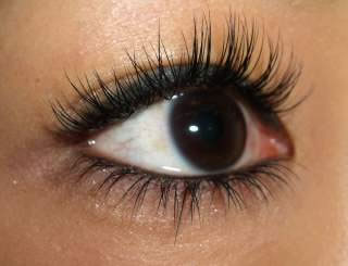 make salon M Ps̎ʐ^iށEfUCLxIڂ̃RvbNXIj