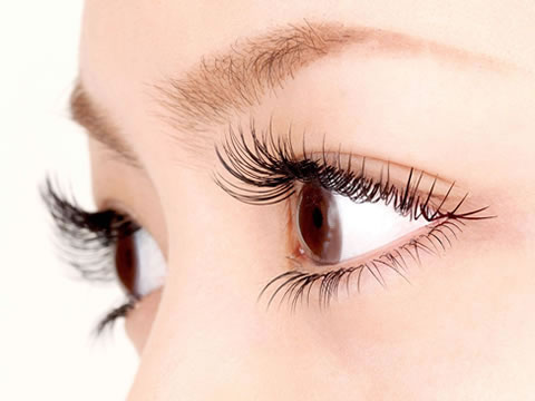 EVER EYESiGo[ACYjȂΓX̓Xʐ^