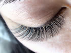 eyelashsalon N