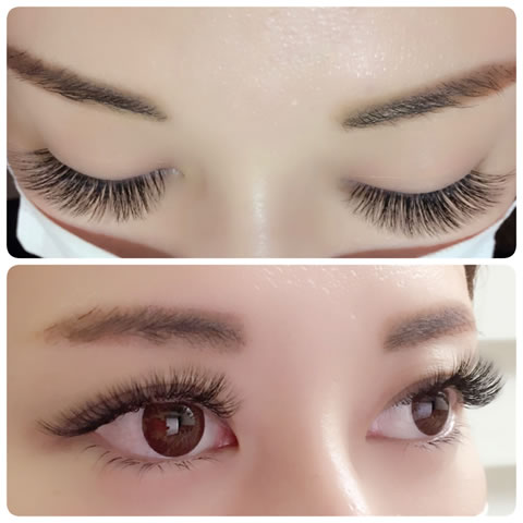 Eyelash School JAMELiWj̃S