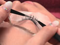 PLUME EYELASH SCHOOL