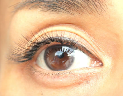 Quick EyesiNCbNACYj̎ʐ^