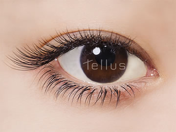 ネイルリゾート テラス 広尾 サロン情報 まつげエクステ サロンナビ