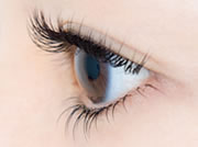Eyelash T S ティーズ 綾瀬店 サロン情報 まつげエクステ サロンナビ Eyelash T S ティーズ 綾瀬店 サロン情報 まつげエクステ サロンナビ